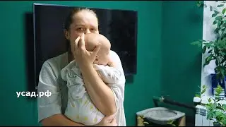 Кто-то рожает, а кто-то воюет