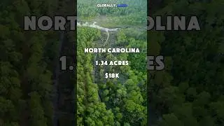 1.34 acres in North Carolina for $18K #foryou #realestate #shorts #land #fyp #shortvideo