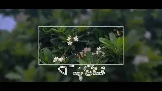 Rim Jhim Rim Jhim Pendian Kaniya | Naseebo Lal #whatsappstatus #rainyday