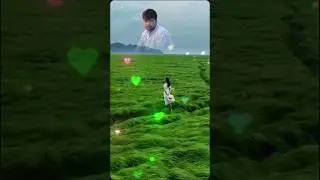 যেদিকে তাকাই শুধু তুমি❤️Where only you look❤️🌹
