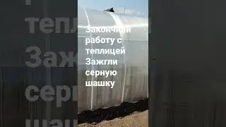 теплица готова к посадке помидоров