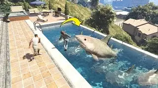 تربية أسماك القرش في بركة السباحة في قراند 5؟ GTA V SHARK IN POOL