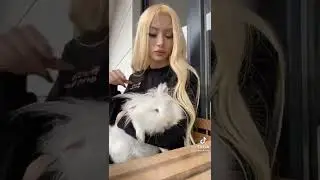 Uzun makarna tiktok videosu