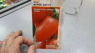 Агрос хит, гибрид томата для теплиц.