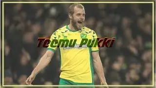 Pukkiparty | Teemu Pukki All GOALS & SKills | Norwich City 2019
