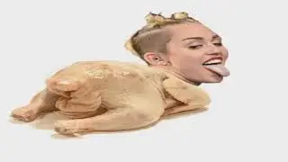 El pollo miley cyrus jajaja:v