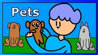 The Pets I’ve Had