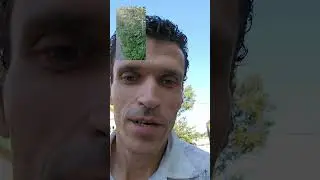 Жарким августовским деньком 🫠