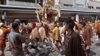 深川神明宮　例大祭　勇壮な水掛け祭　町内神輿渡御　2024/08/18  d15
