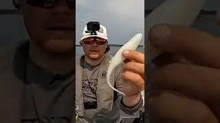 Try This to Increase Fishing Success! Big Baits For Walleye #fishing #informational