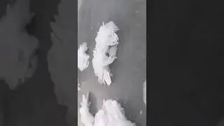 ЦВЕТЫ НА ЛЬДУ