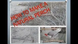#DIY #NATURAL #PERCH FOR #BIRDS