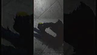 Hugs.mp4