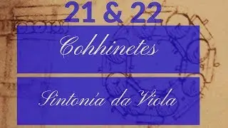 Leonardo da Viola: Cojinetes & Sintonía da Viola