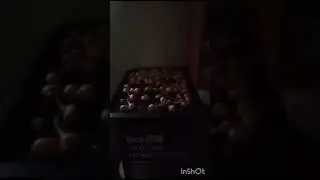 Репортаж о придуманном событии. Артем 7 лет