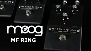 Moog Minifooger Ring Modulator