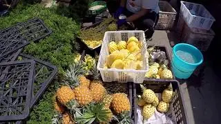 ЖАРЕНЫЕ КАШТАНЫ, печеный батат и АНАНАСЫ НА ПАЛОЧКЕ