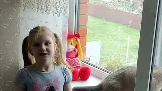 Безопасное окно Сыряная Анна