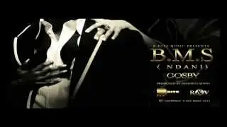 BMS ( Baby Making Swag) by Gosby