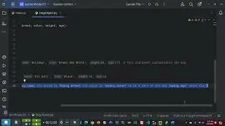 Python Objects Lecture