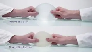 Elasticity