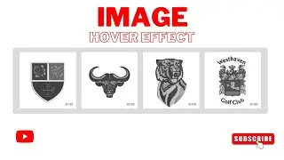 How to create image hover effect using #html  #css #csseffects #bootstrap #website #codding