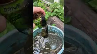 Энергетик Драйв - это золото и свобода, но это не точно🥹