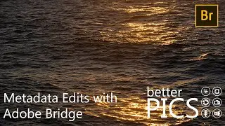 How To: Edit your Metadata Adobe Bridge 