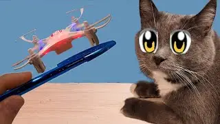 ЛЕГЕНДАРНАЯ РУЧКА ИЛИ 5 КРУТЫХ ВЕЩЕЙ ДЛЯ КОТА