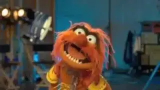Animal - The Muppets - 