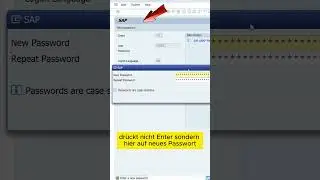 Selber das Passwort in SAP ändern  