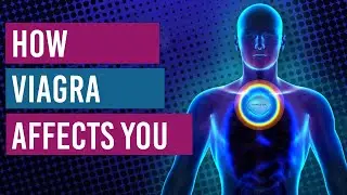 What happens to your body when you take Viagra?