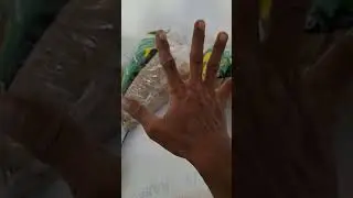 BENIH PADI BANTUAN PEMERINTAH TAHUN 2024@Tikah Family