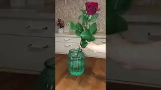 #sorts #цветы #доброеутро 🌹🌹🌹