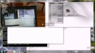 calibration of pupil eye-tracker
