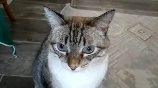 Хотя бы еще половиночку или две