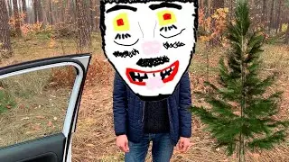 FOREST /\ arthouse /\ funny video /\ BOCH