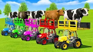 TRANSPORTING BULLS  WITH RIGITRAC COLORED TRACTORS & MERCEDES TRUCKS - FS22