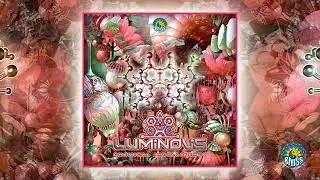 Luminous - Chemical Intelligence