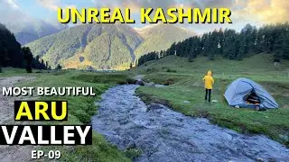 This is the Most beautiful valley of kashmir  | Camping in kashmir - Aru Valley, Pahalgham Ep 9