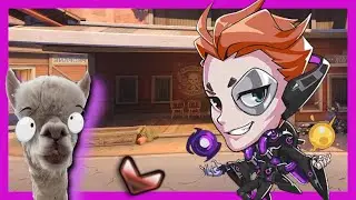 Angry Llama VOD reviews bronze Moira who's climbed 1000 SR in a few weeks - Overwatch
