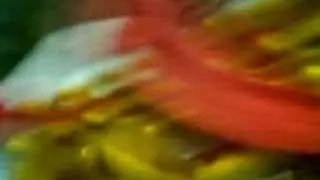 walao~~walau`~~geng dao
