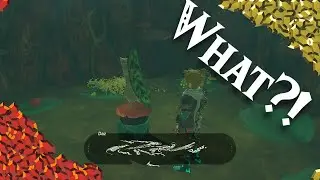 What Happens When You BUY EVERYTHING?! |BotW|