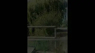Editar #1