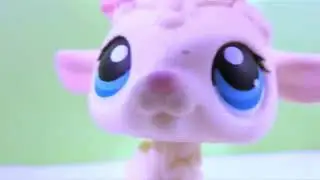Finding myself in lps videos because I’m famous