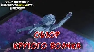 Обзор нового волчка Хелл Саламанр