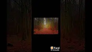AMATÖR FOTOĞRAFÇILIK #fotoğraf #amatörfotoğraf#fotografia #fotografo #erkanyikik