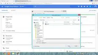 How To connect Google Instance By Filezilla using SSH