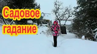 Садовое гадание