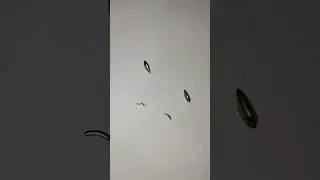 Золотые зёрна в пупке у гуся!